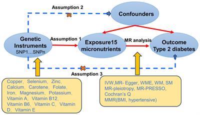 Tracing links between micronutrients and type 2 diabetes risk: the singular role of selenium